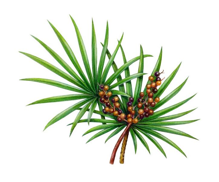 Aurreztutako kapsulak extract